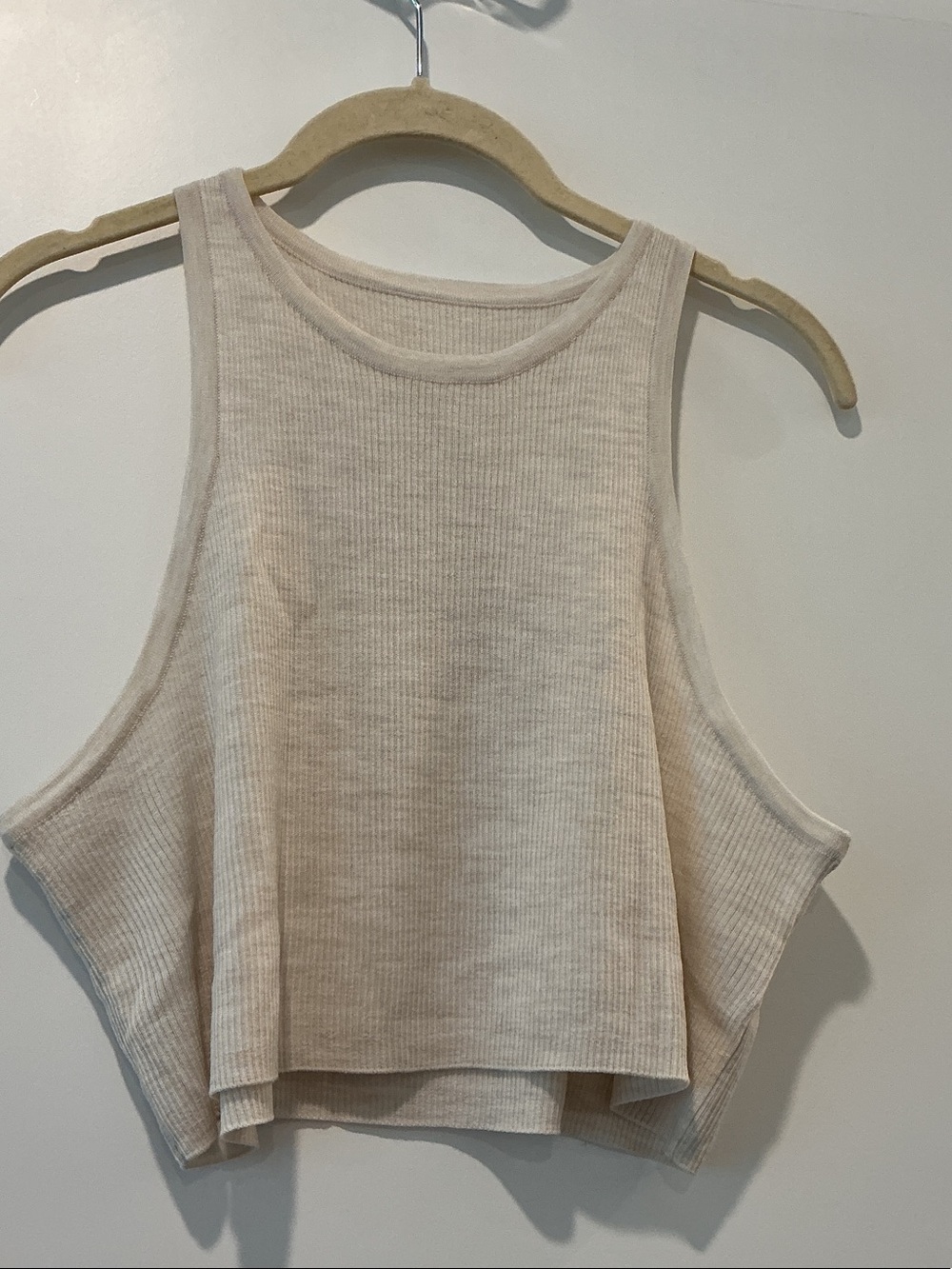 Saint Art Merino Wool Beige Ribbed Crop Tank Top